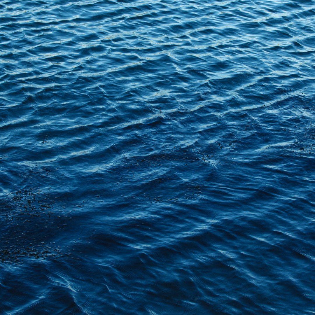 海の写真　海洋散骨のイメージ写真