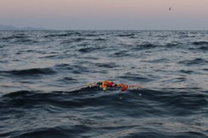 海洋散骨の様子。海にただようお花の写真