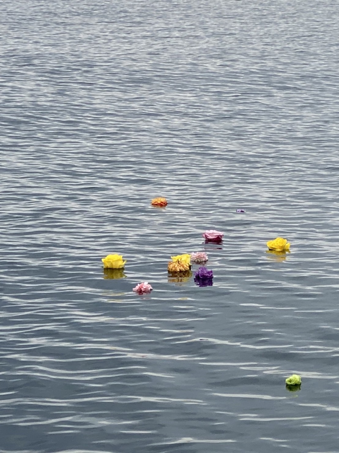 別府湾海洋散骨