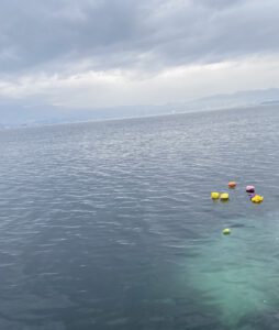 別府湾で行われた海洋散骨の様子。海面に流れる綺麗なお花。