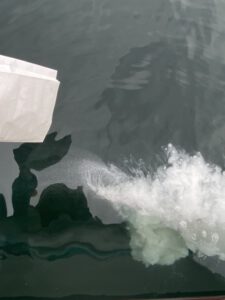 大分県の海洋散骨の様子