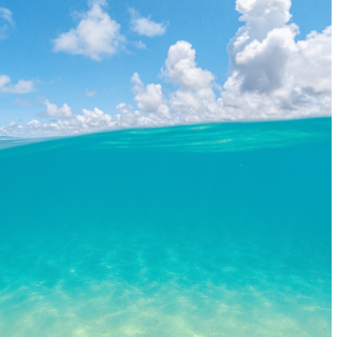 海の写真 海洋散骨のイメージ写真