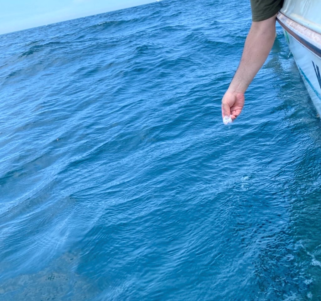 大分県の別府湾でお父さんのご遺骨を海洋散骨する男性