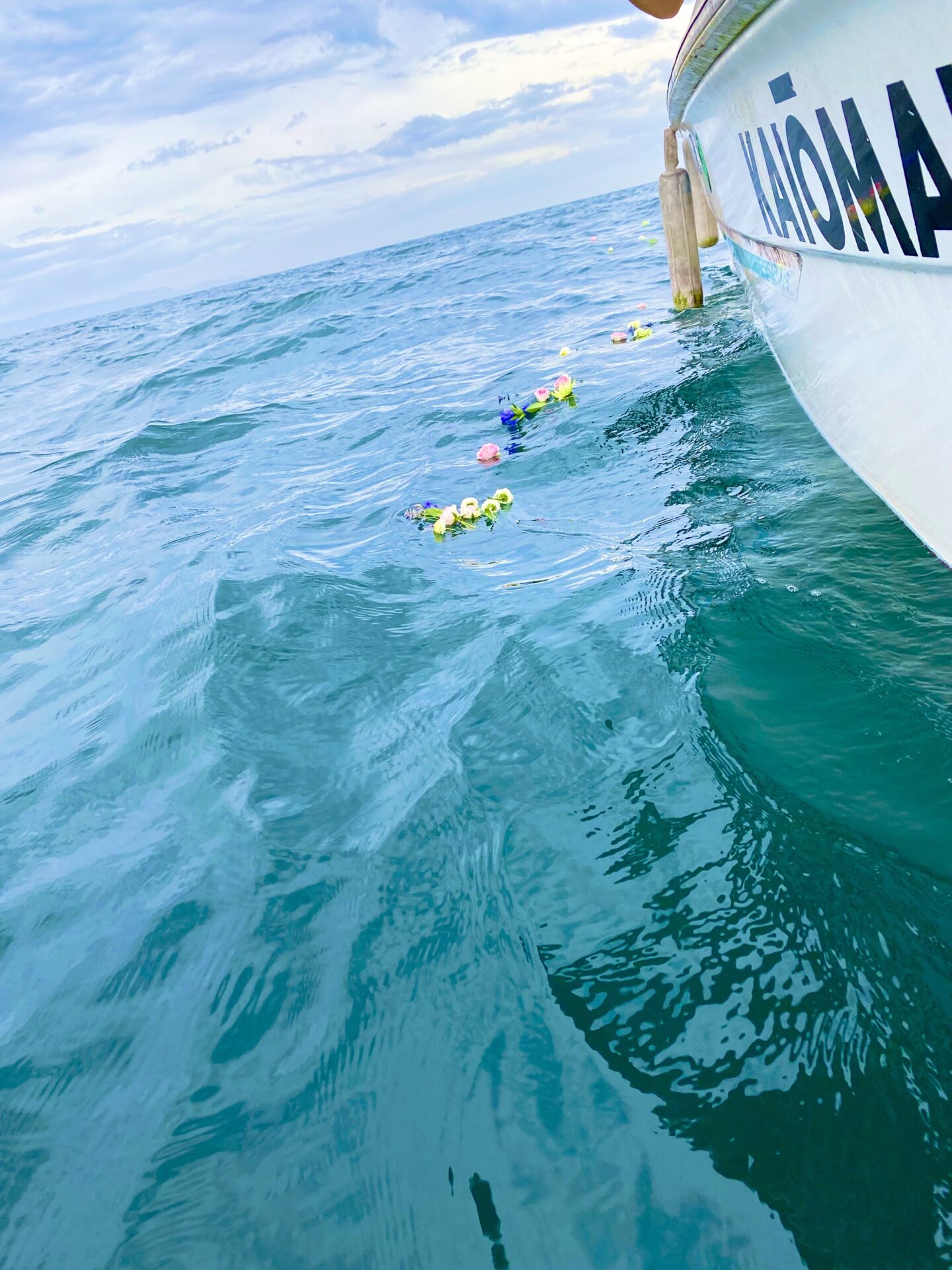 別府湾海洋散骨
