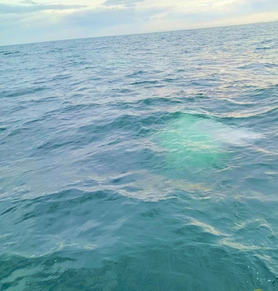大分海洋散骨別府湾
