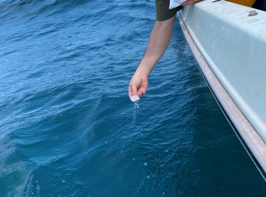 大分県の別府湾で海洋散骨する男性