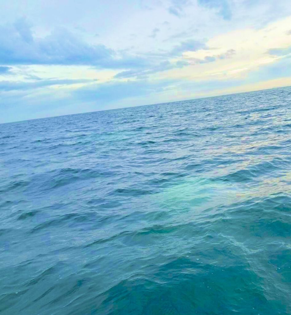 別府湾代行海洋散骨