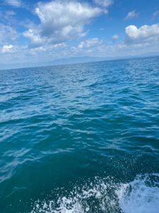 イギリスから大分で海洋散骨
