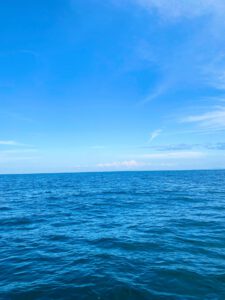 別府湾代行海洋散骨