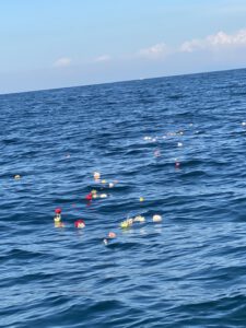 別府湾海洋散骨