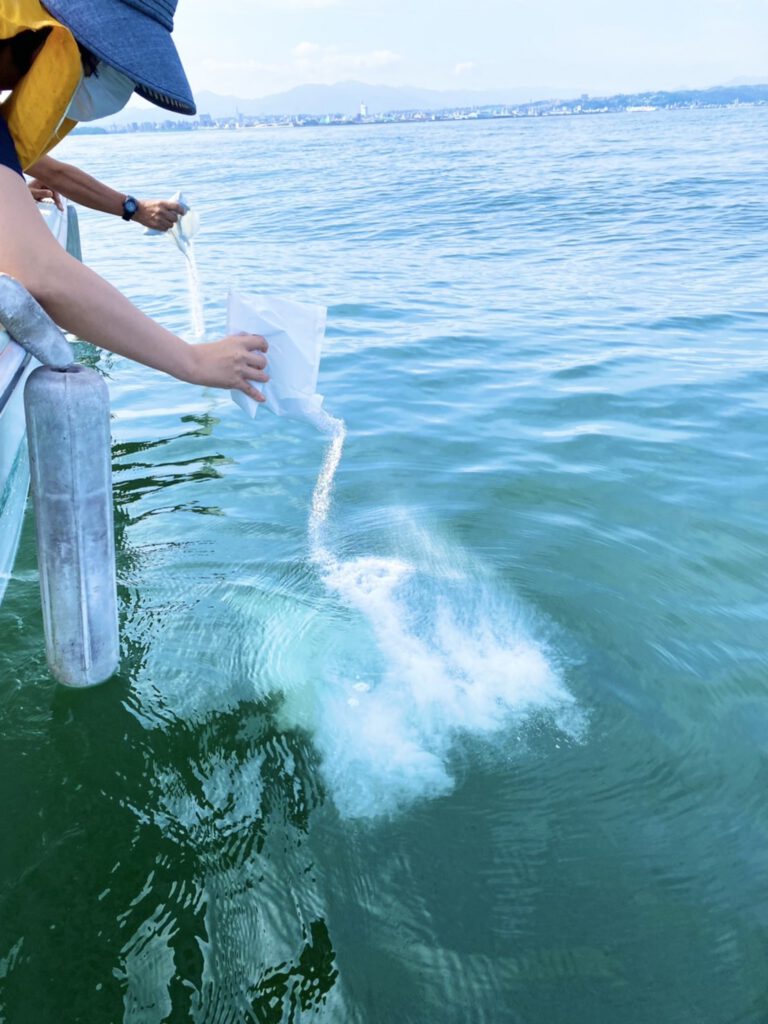 大分海洋散骨お見送りプラン