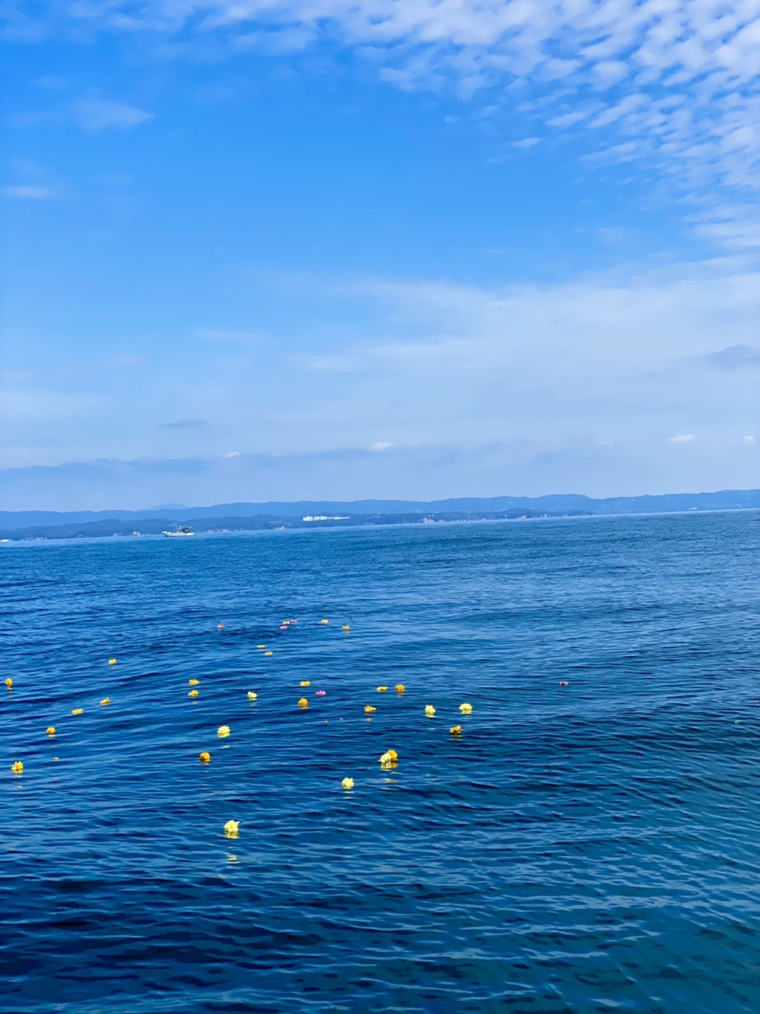 大分県海洋散骨