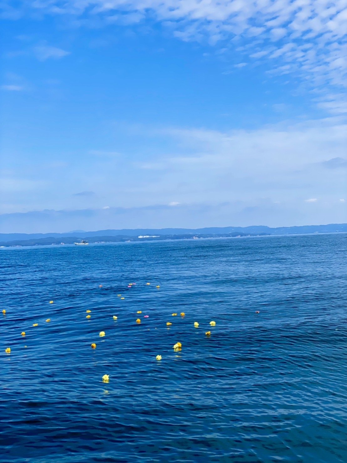 大分県海洋散骨