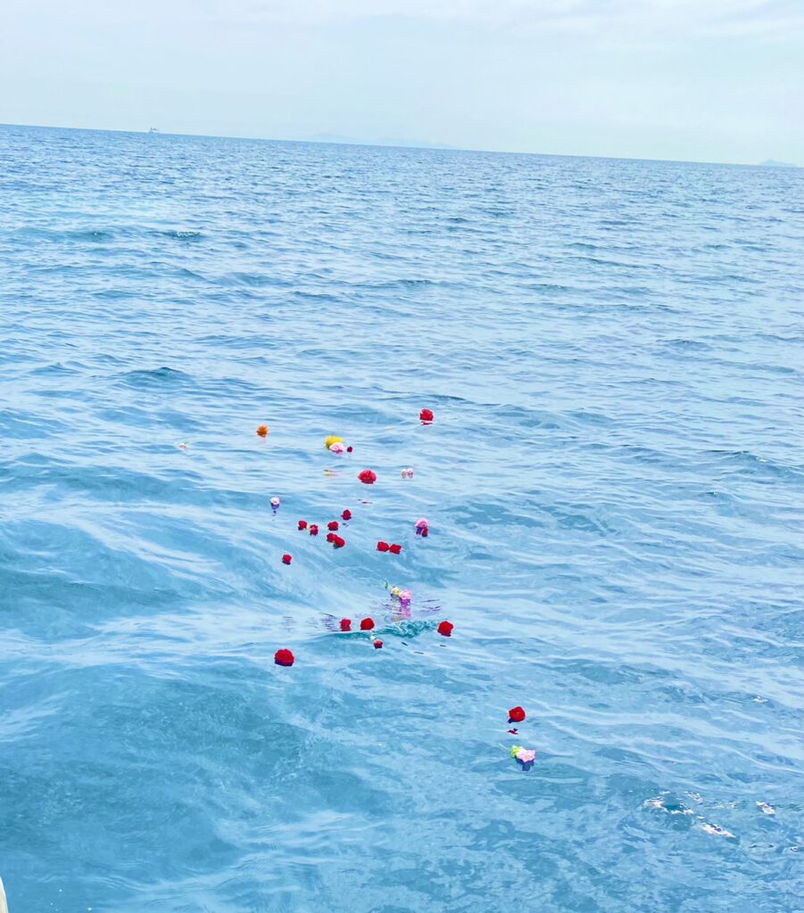 大分で墓じまい海洋散骨が増える理由とは