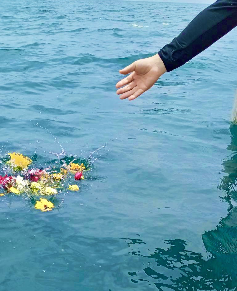 大分県で墓じまい海洋散骨