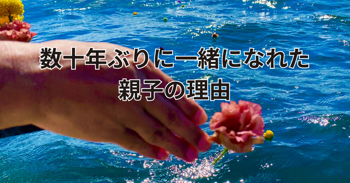 大分代行海洋散骨数十年ぶりに一緒になれた親子