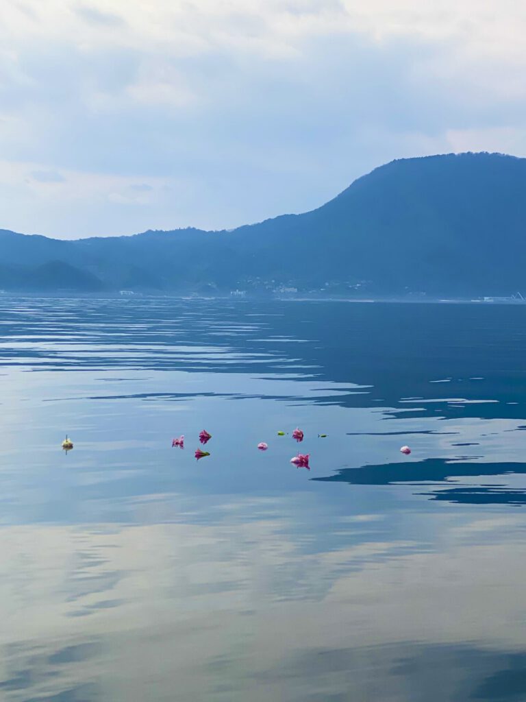東京から墓じまい大分で海洋散骨