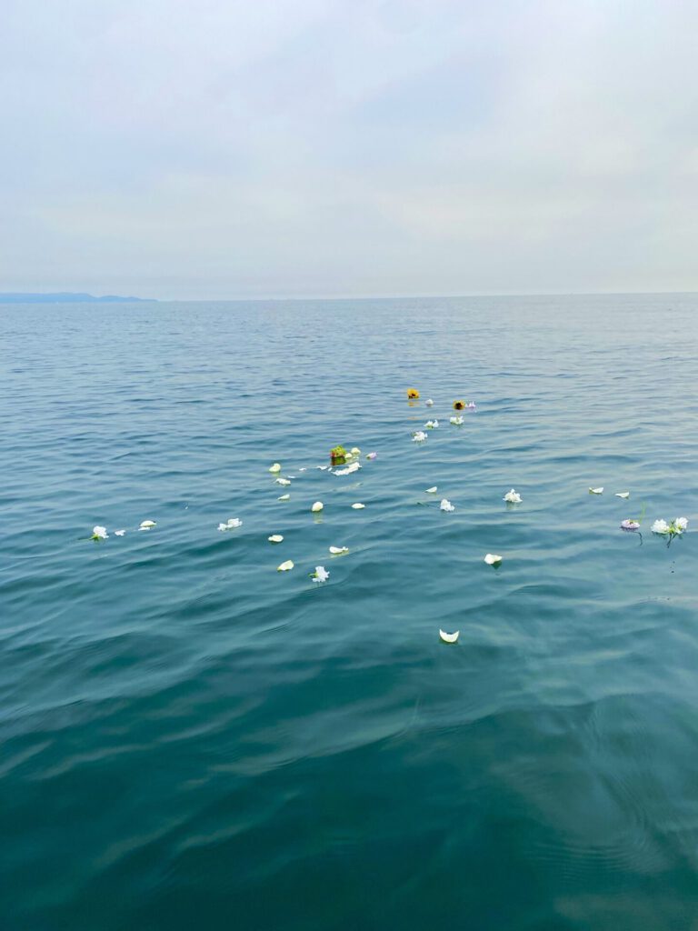 豊後大野市の墓じまい遺骨整理