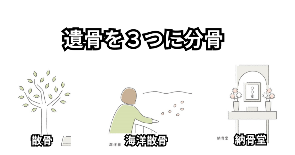 遺骨を3つに分骨（海洋散骨・納骨堂・散骨）