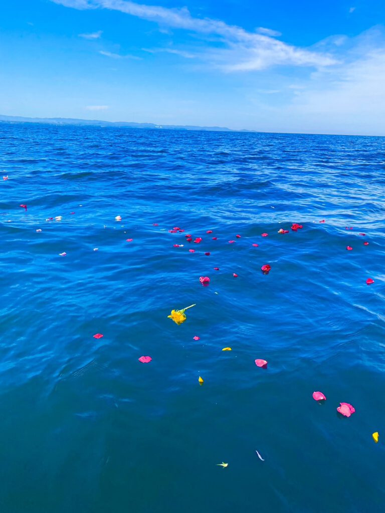 代行の海洋散骨で自宅供養の遺骨を整理する