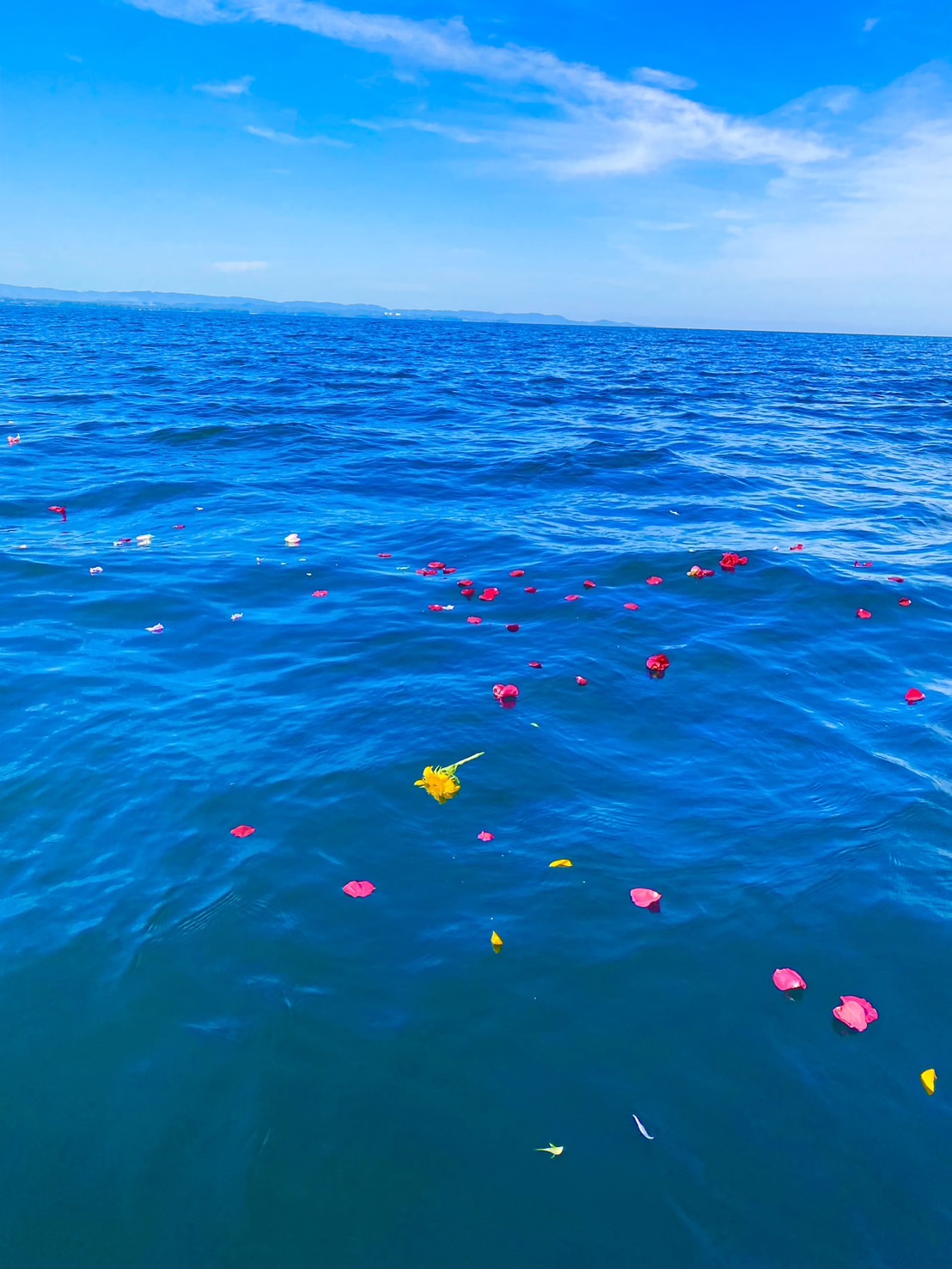 代行の海洋散骨で自宅供養の遺骨を整理する