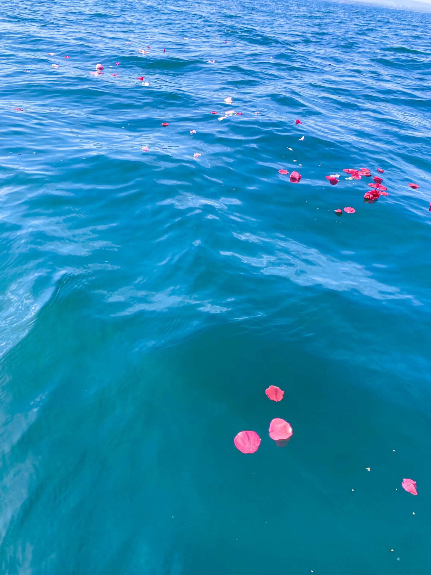 一人息子の海洋散骨
